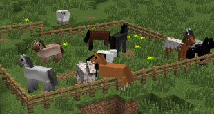 Minecraft 1.6.2 horse update